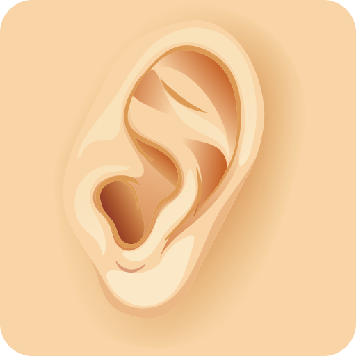 Sistem Pendengaran Manusia