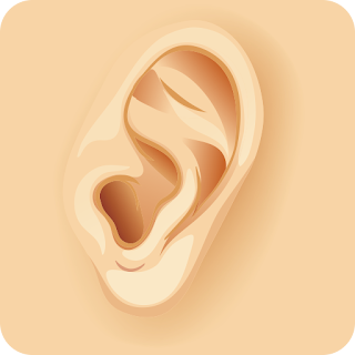 Sistem Pendengaran Manusia
