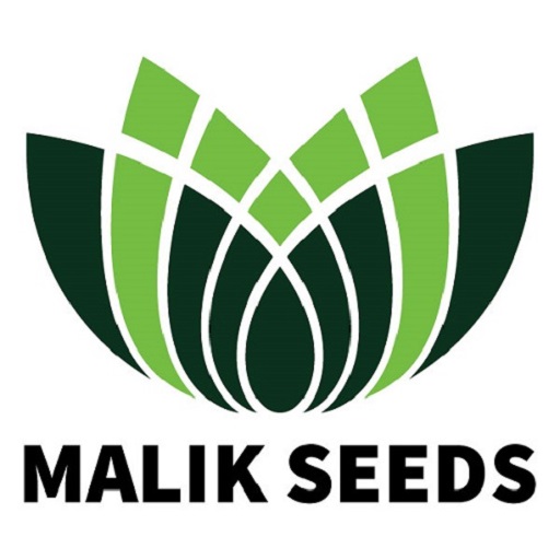 Malik Seeds Dashboard logo