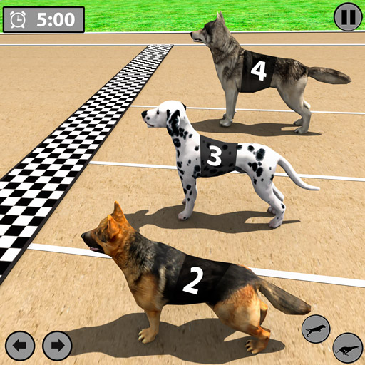 Dog Racing Games: Dog Games