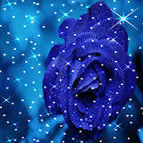 Sparkle Rose Live Wallpaper icon