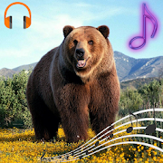 Top 50 Music & Audio Apps Like Wild Bear Sounds and Ringtones - Best Alternatives