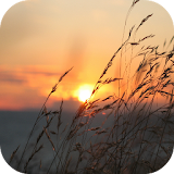 Sunrise Wallpapers icon