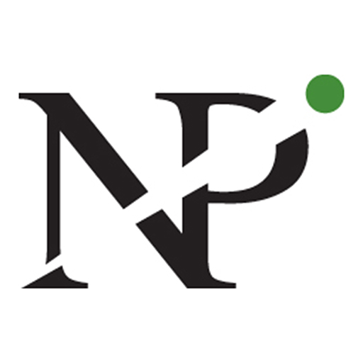 נועם פשה רואה חשבון logo