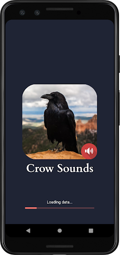 Android application Crow Sounds screenshort