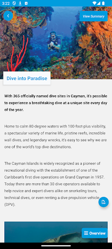 Cayman Islands Specialist Screen 3