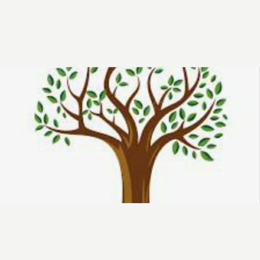 The Root Economics Classes logo