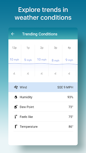 Weather Radar & Live Widget: The Weather Channel