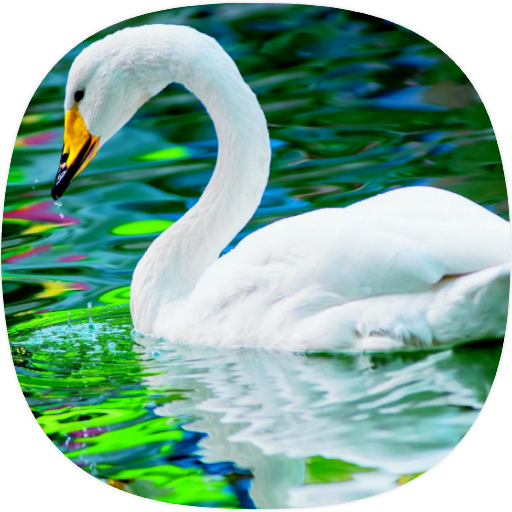 Swan Sounds logo