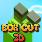 Box Cut 3D
