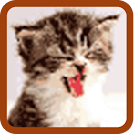 Cat Pixel Art