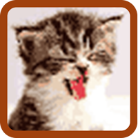 Cat Pixel Art