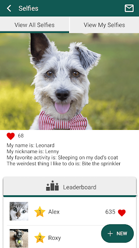 Crossroads AH screenshot 4