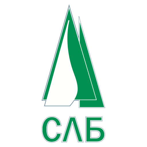 СЛБАНК Линк logo