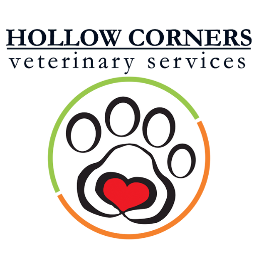 Hollow Corners Vet Apps on Google Play