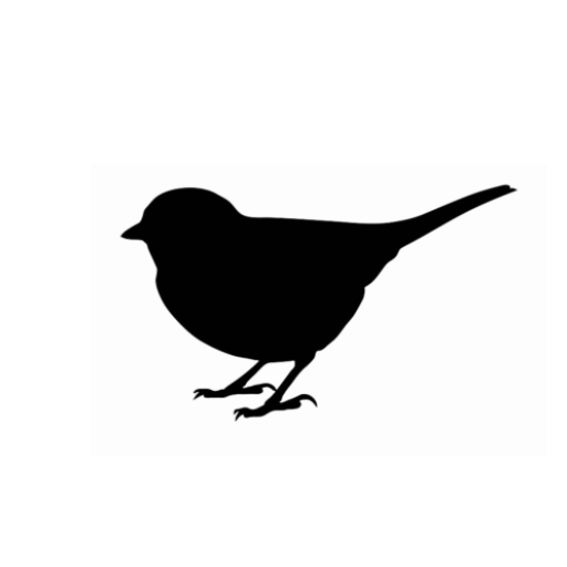Fuglesafari logo