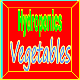 Hydroponics Vegetables icon