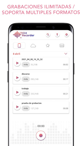 Vista previa de la aplicación