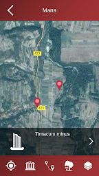 Timacum minus