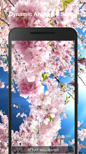 Romantic Sakura Live Wallpaper Screen 2