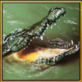 Wild Hungry Crocodile 3D icon