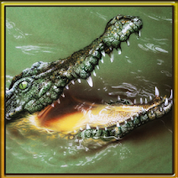 Wild Hungry Crocodile 3D