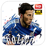 Hazard Wallpapers HD icon