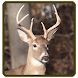 Whitetail deer calls sounds - Androidアプリ