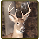 Whitetail deer calls sounds Baixe no Windows