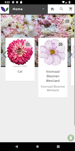 Android application Berkel Flowers screenshort