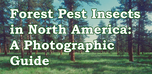 Forest Insect Pests