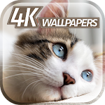 Cover Image of Télécharger Sweet Animals Wallpapers  APK
