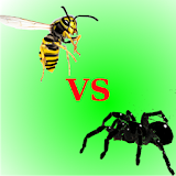 Spider Vs Wasps icon