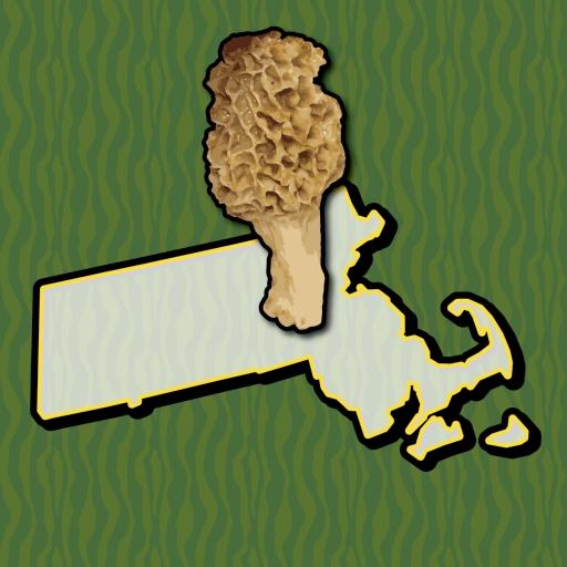 Massachusetts Mushroom Forager logo