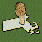 Massachusetts Mushroom Forager Map Chanterelles