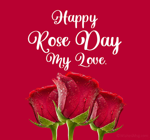 Happy Rose Day Quotes Images screenshot 12