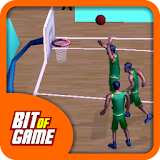 Basketball Sim 3D icon