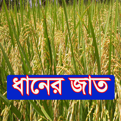 ধানের জাত ~ Rice Varieties  Icon
