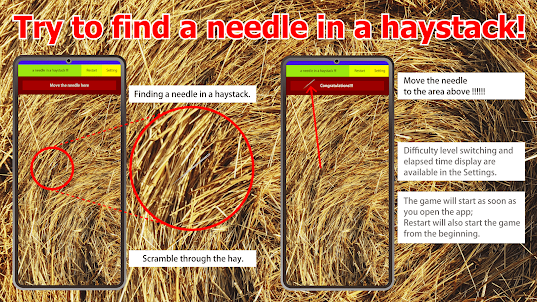 a needle in a haystack