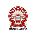 S S Public School icon