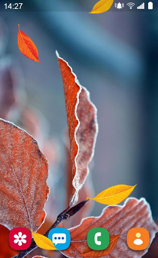 Autumn Wallpapers Galler Screen 2