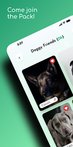 Android application DOGOUT - Local Dog Meetup App screenshort