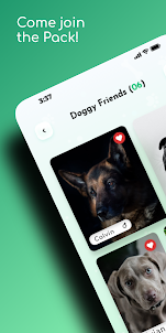 DOGOUT - Dog Social Platform