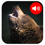 Cover Image of Unduh Bear Sounds 1.0.0 APK