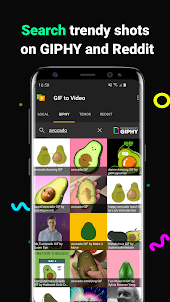 GIF to Video: Convert & Search