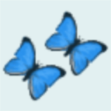 Butterfly Theme icon