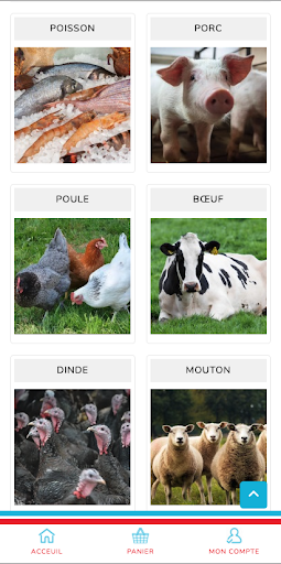 Egal Screenshot 2 - AppWisp.com