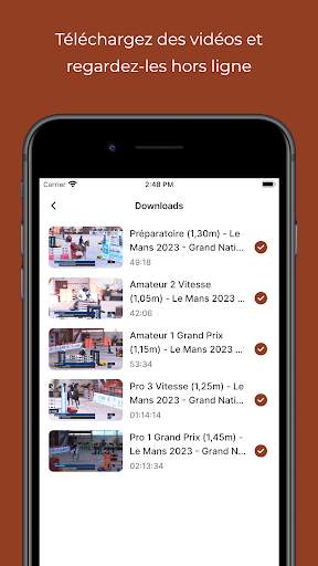 Cheval TV Screen 2