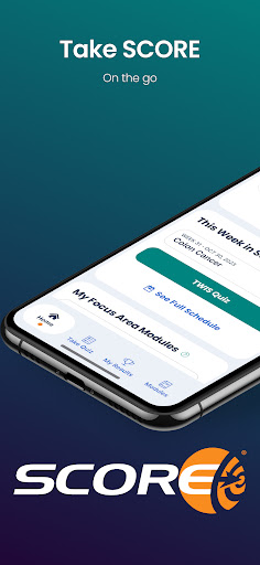 Vista previa de la aplicación