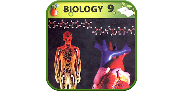 Electron Transport Chain: Knowledge Catalog Grade 9 Biology #19 - YouTube